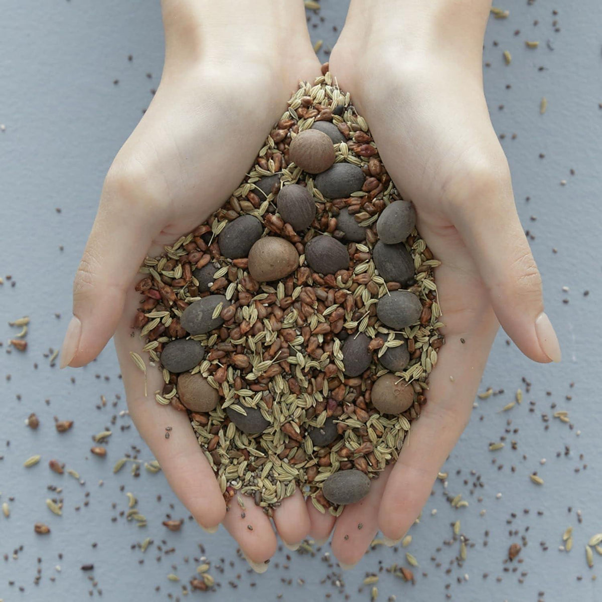 Blithe Vital Treatment 9 Essential Seeds 150ml product detail image 6