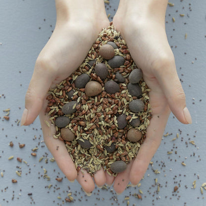 Blithe Vital Treatment 9 Essential Seeds 150ml product detail image 6