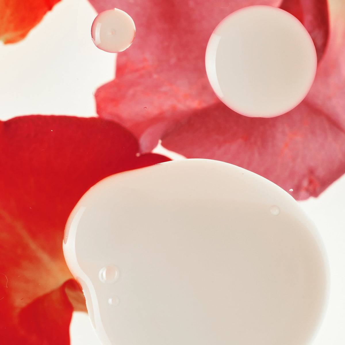 Haruharu Wonder Rose PDRN Soothing Serum 30ml — product image 3