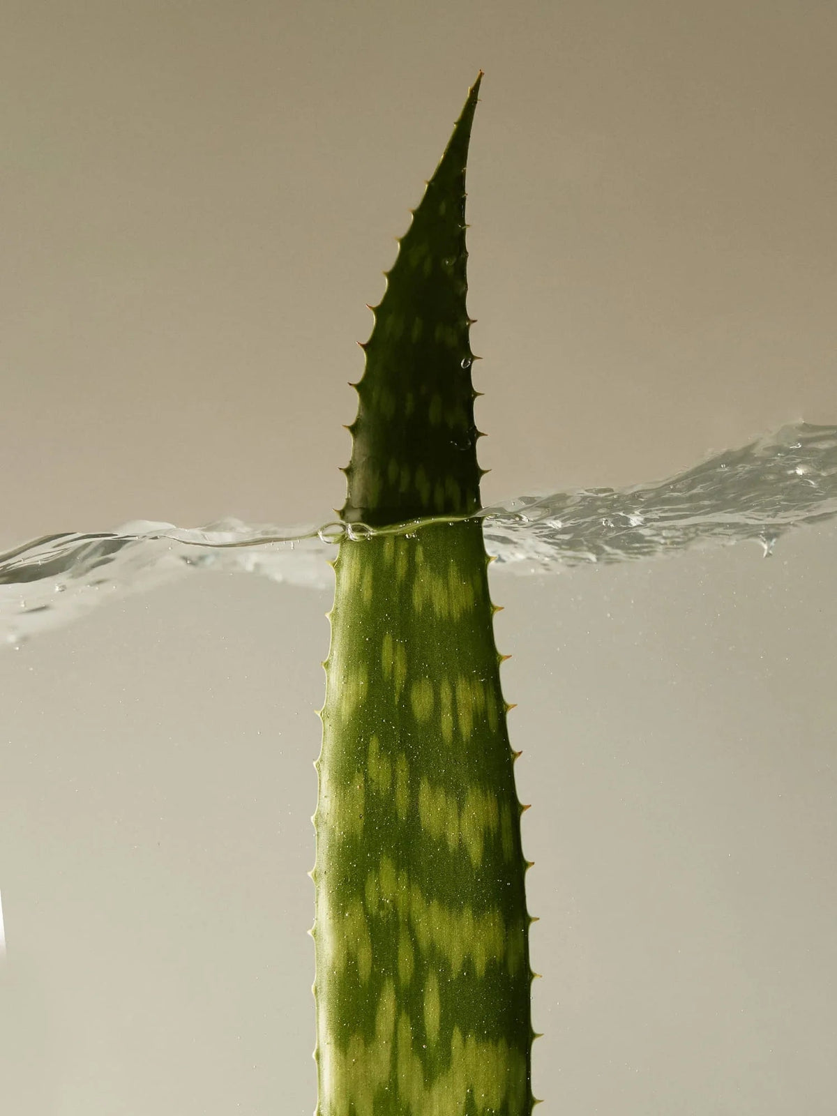 Aromatica Soothing Aloe Vera Gel 300ml - product image 4